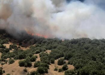 KAHRAMANMARASTA CIKAN ORMAN YANGININA HAVADAN VE KARADA MUDAHALE SURUYOR
FOTO:OMER KOC-KAHRAMANMARAS-DHA