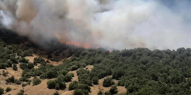 Mereş’te orman yangını