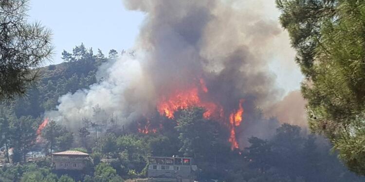 İzmir ve Antalya’da orman yangınları