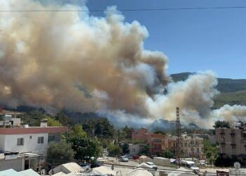 Hatay’da orman yangını