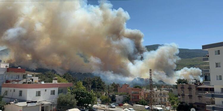 Hatay’da orman yangını