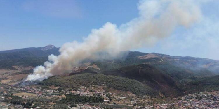 İzmir’de orman yangını