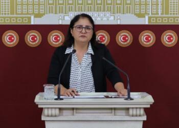 Yeşil Sol Parti’li Kordu, kadın sığınma evlerinin yetersizliğini Meclis gündemine taşıdı