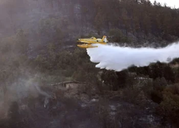 Üç kentte orman yangını: Evler tahliye edildi