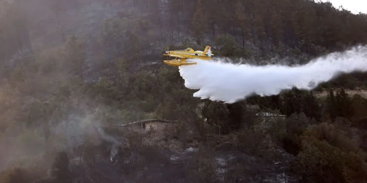 Üç kentte orman yangını: Evler tahliye edildi