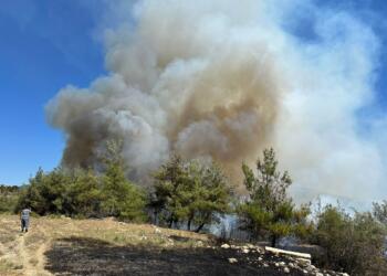 Adana’da orman yangını