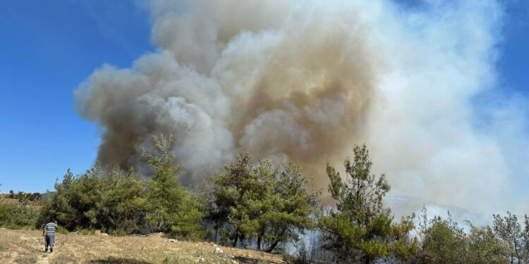 Adana’da orman yangını