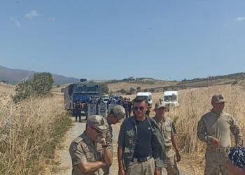 Hatay’da zeytinliklere yapılmak istenen konut projesine tepki sürüyor