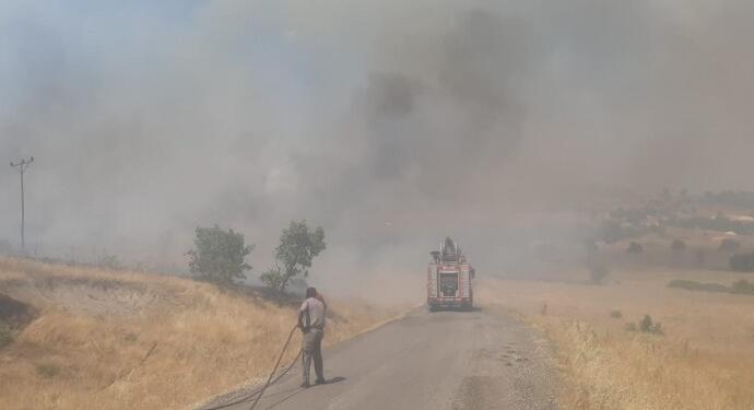 Licê’deki yangın söndürüldü