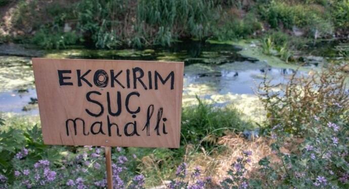 Cangı: Ekokırım suç sayılmalı