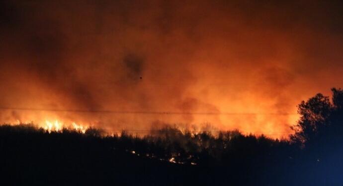İzmir’de orman yangını
