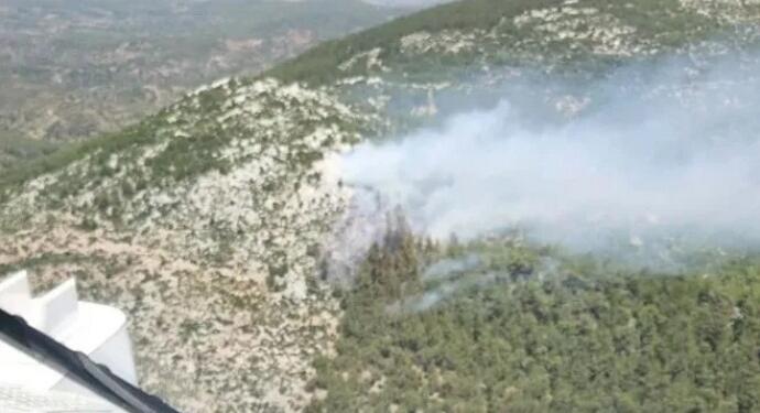 Milas’ta ormanlık alanda yangın çıktı