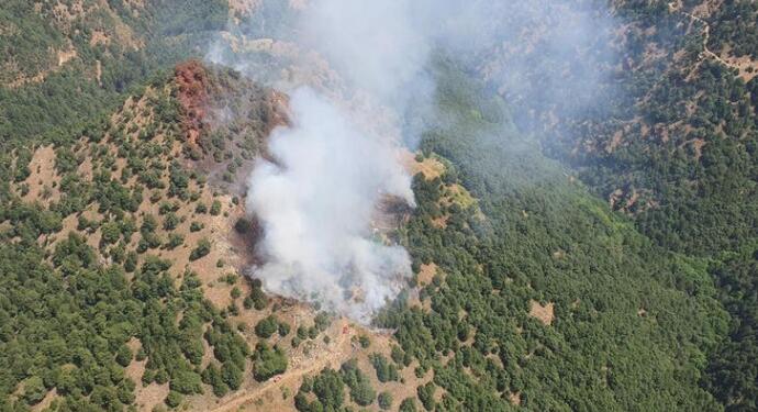 Manisa’da orman yangını