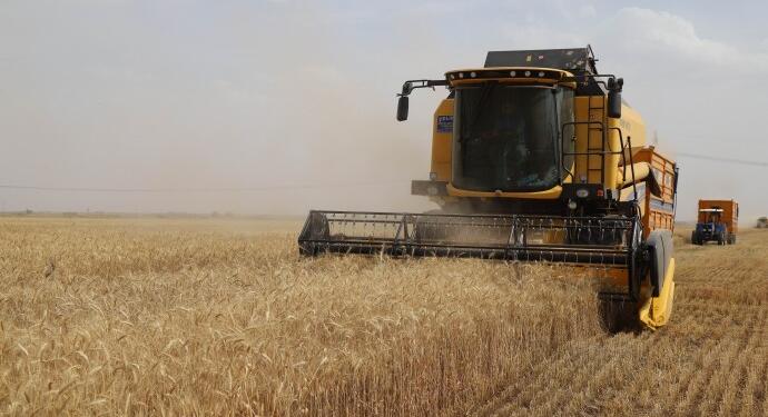 Ucaman: Hükümet çiftçileri aracılara kurban etti