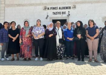 Hindirin Aydoğan katledilmesi protesto edildi