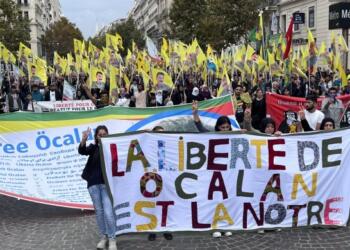 Zeyneb Murad: Kürt sorununun kilidi İmralı’da