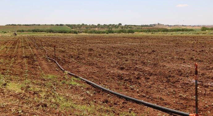 Genç nüfusu tarımdan uzaklaştıran politikalar