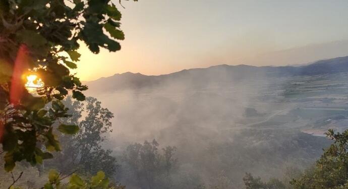 Yangına müdahale eden 7 aktivist mayın patlaması sonucu yaralandı