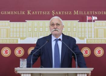 Oluç: Kopenhag Kriterleri yerine Ankara kriterleri ilan ettiniz