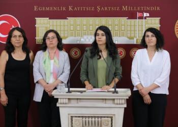 Yeşil Sol Parti ve HDP: Hamile çocuk sayısı 2 milyonu aştı