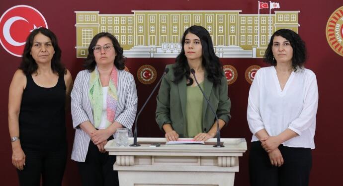 Yeşil Sol Parti ve HDP: Hamile çocuk sayısı 2 milyonu aştı