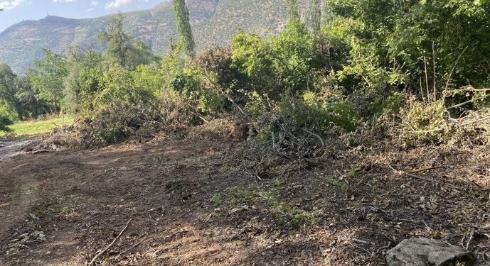 Olan: Xîzan’da amaç köylüleri göçe zorlamak