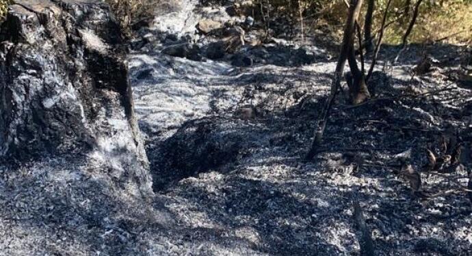 Xîzan’da bombalama sürüyor: Ormanlık alanlar tahrip ediliyor