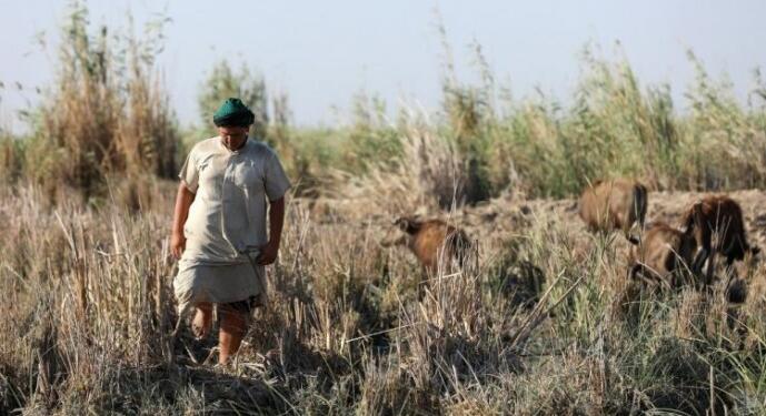 Türkiye suyu engelliyor, Irak kuraklıkla karşı karşıya