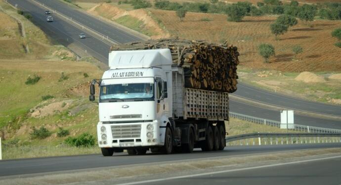 Ormanlık alanlar rant merkezine dönüştürülüyor