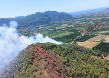 İzmir ve Muğla’da orman yangını