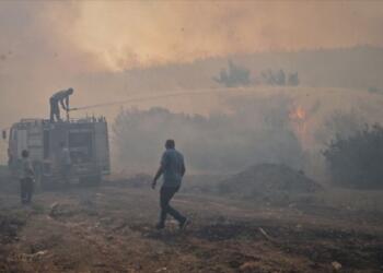 İzmir’de yangın: 4 Ev hasar gördü