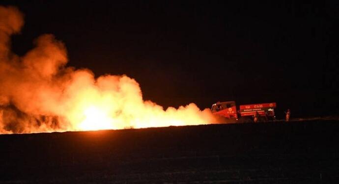 Edirne’de 100 dönümlük tarla küle döndü