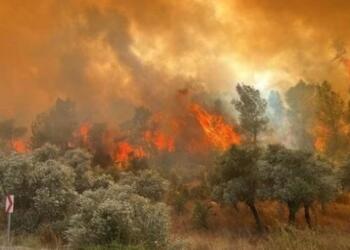 3 kentte başlayan orman yangını sürüyor