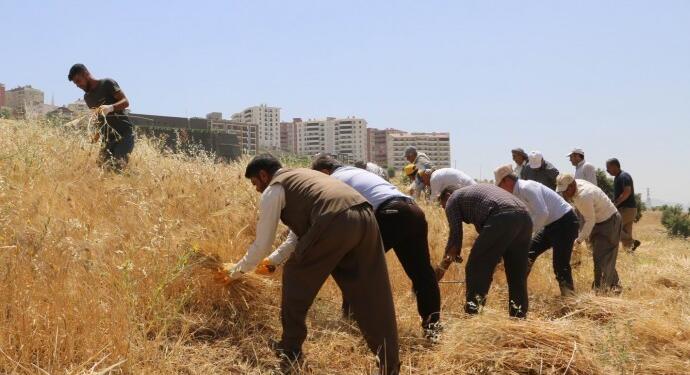 Cudî’de pale orkestrası