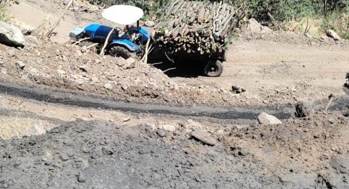 Cudî’de yeni ağaç kıyımı