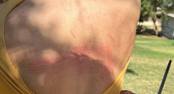 DEDAŞ’ı protesto eden çiftçiler karakolda da darp edildi