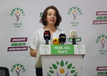 Yeşil Sol Parti kadın buluşmaları gerçekleştirecek