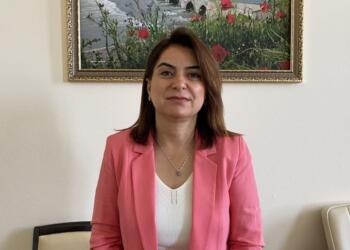 Koçyiğit: AKP-MHP tecrit ile savaşı dayatıyor