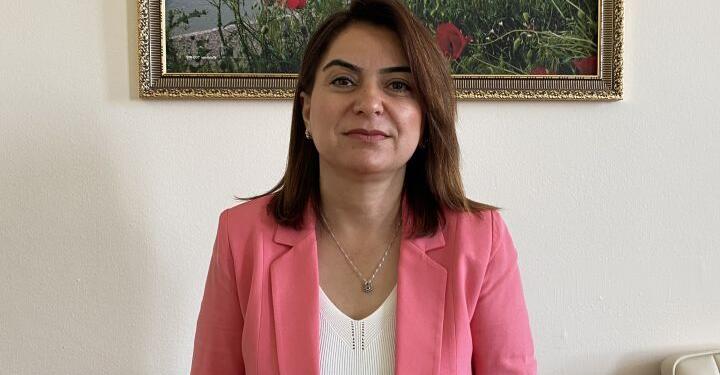 Koçyiğit: AKP-MHP tecrit ile savaşı dayatıyor