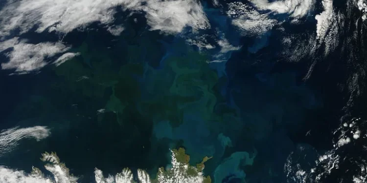 İklim değişikliği okyanusların rengini değiştirdi