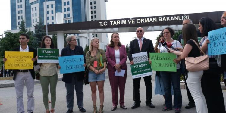 Vekillerden çağrı: Akbelen’deki kıyıma son verin