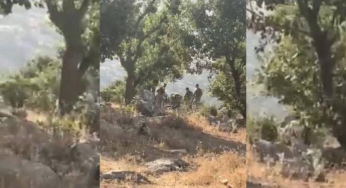 Askerler koyunlarını otlatan 16 yaşındaki çobanı darp etti