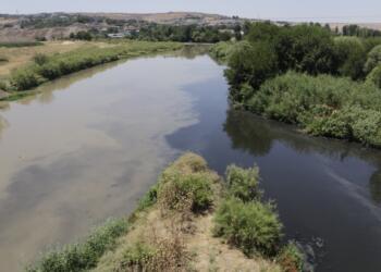 Kayyum belediye Dicle’yi zehirliyor