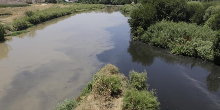 Kayyum belediye Dicle’yi zehirliyor
