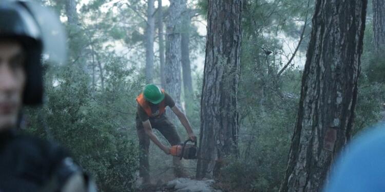 Muğla Valiliği’nden ‘Akbelen’de işlem sona erdi’ açıklaması