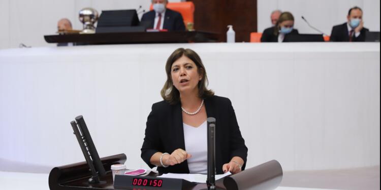 Beştaş Brezilya’dan getirilen çocukları Meclis gündemine taşıdı