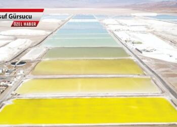 Altın madenciliğinde kullanılan siyanürün neden olduğu zehirli atıkları kat be kat aşan miktarda toksit madde Lityum vd. cevherlerin işlenmesi sırasında ortaya çıkacak.