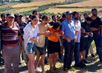 Dikmece’de zeytinlik direnişine saldırı: 7 gözaltı