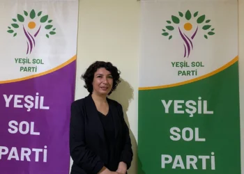 Yeşil Sol Parti’li Türkoğlu: En iyi model Rojava