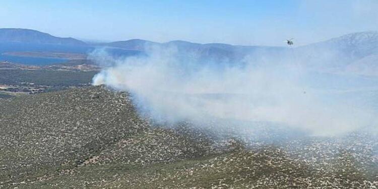 İzmir’de orman yangını
